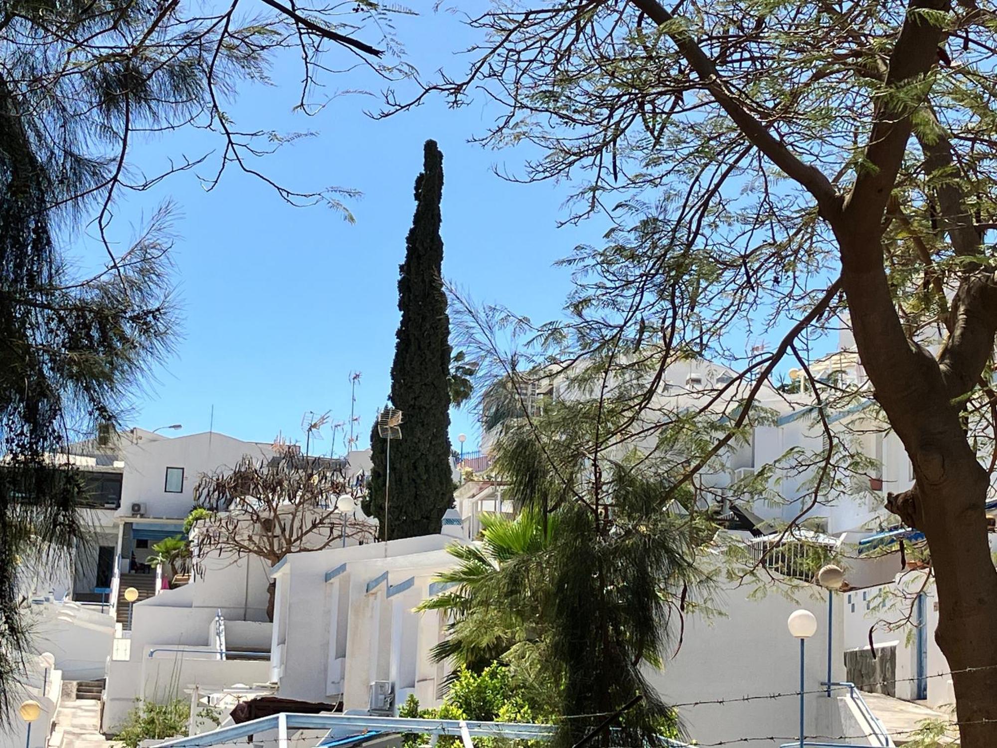 Apartamento casAkash con Vistas al Mar, Terraza, Piscina y Parking gratuito Maspalomas  Exterior foto
