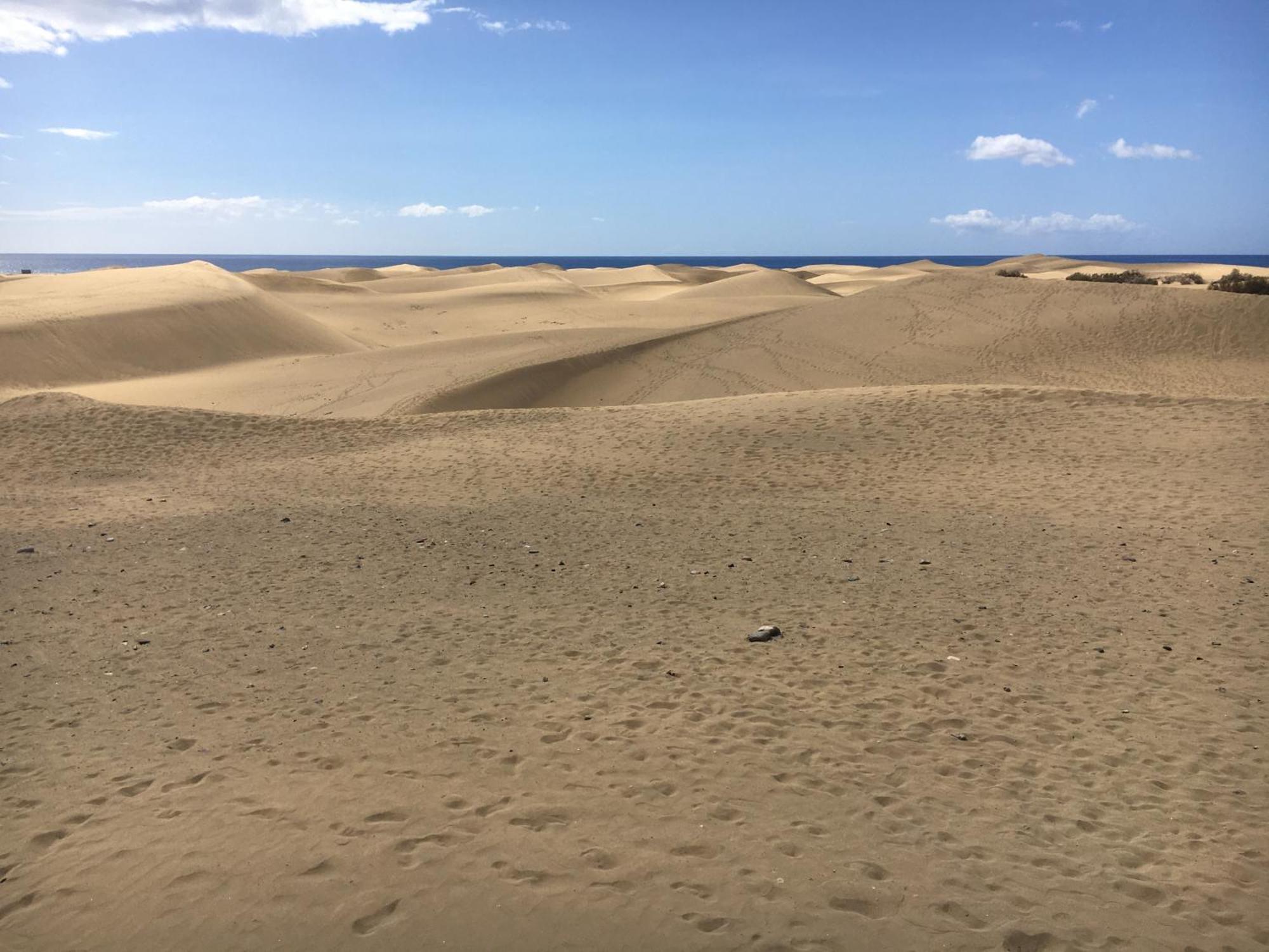 Apartamento casAkash con Vistas al Mar, Terraza, Piscina y Parking gratuito Maspalomas  Exterior foto